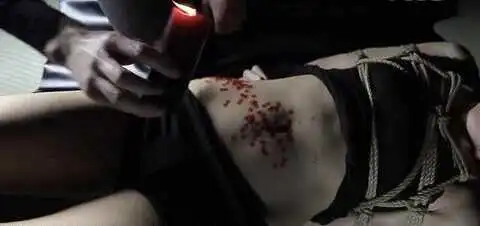 了解K9:掌握这一概念前你需要知道的事! 一