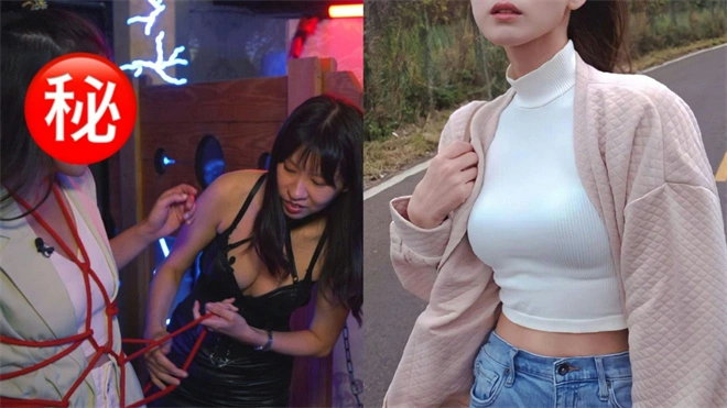 你也想成为k8猫系中的一员吗？探索你的内心世界与猫咪气质的完美融合！ 一