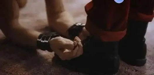 我的s倾向情人 一