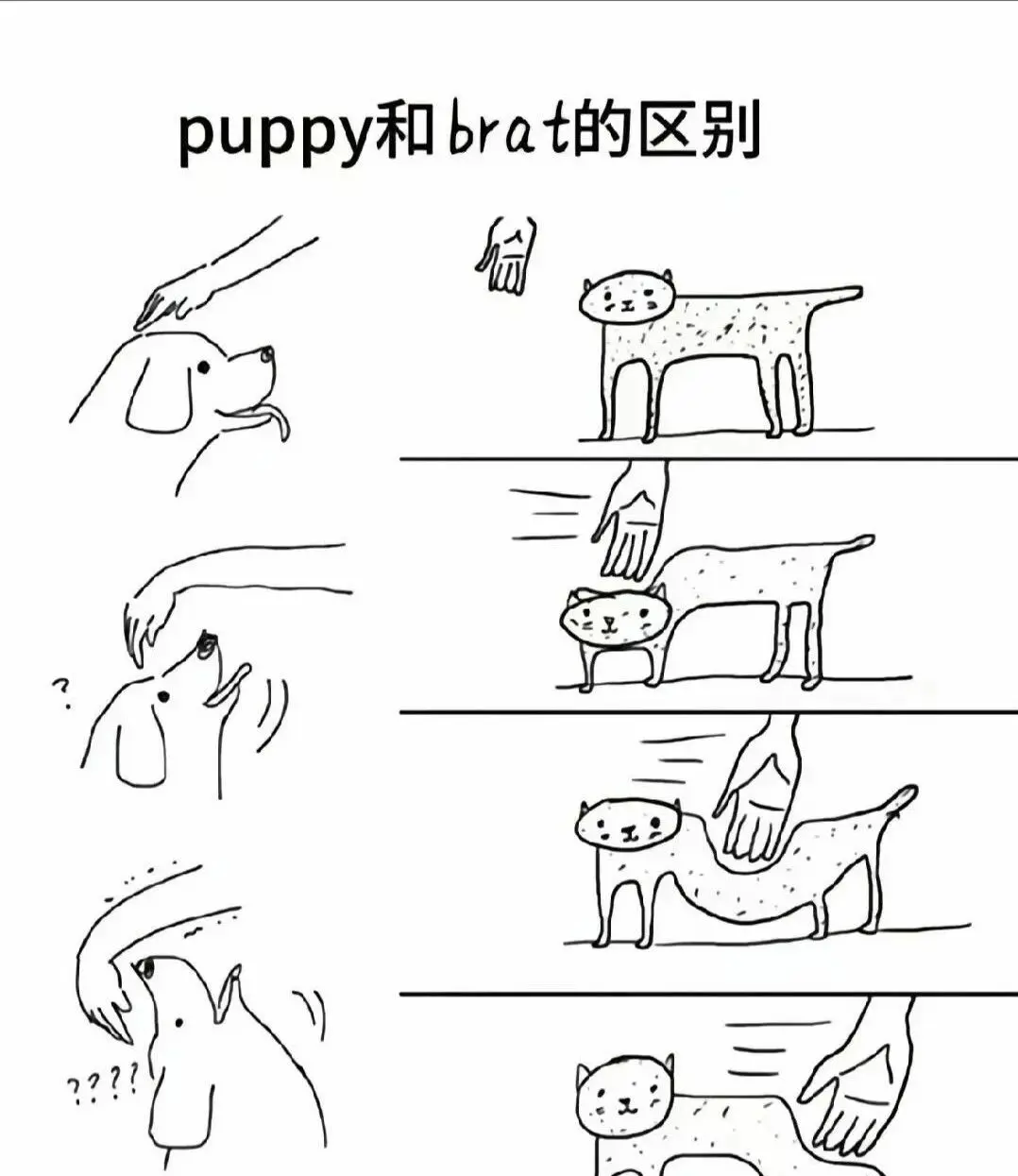 BDSM入圈需知?探索你的阴暗欲望之旅 一