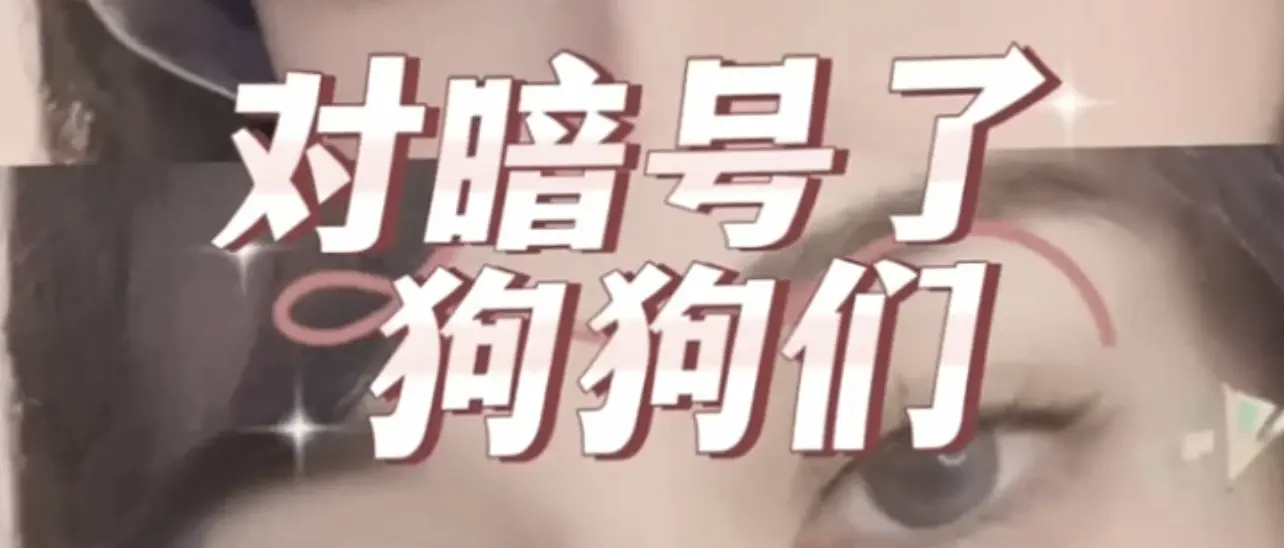 字母圈入圈全攻略:新手必看技巧与注意事项 一