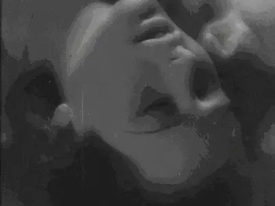 k8猫系是什么？揭秘猫奴的秘密世界 一