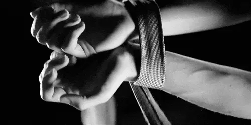 k8猫系到底是什么？让我们一起探索这神秘的猫奴世界！ 一