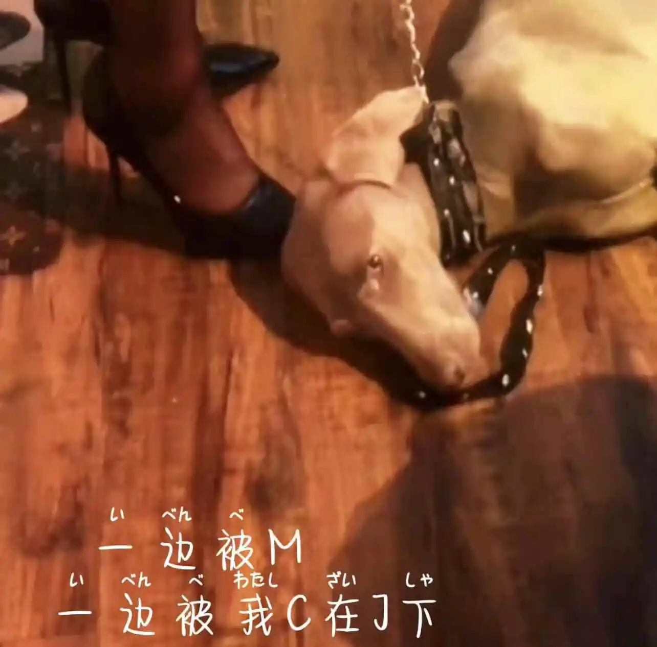 我的s属性探索之旅 一
