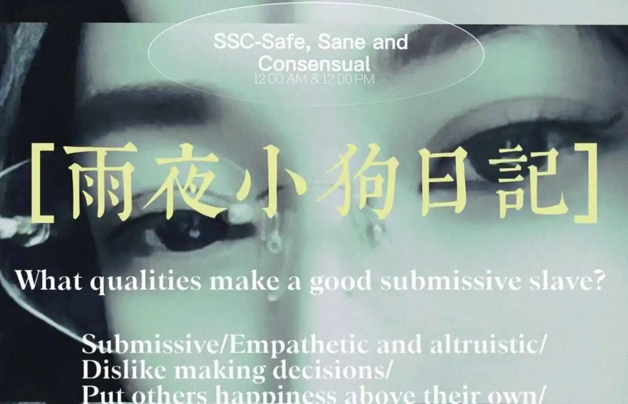 “SP小圈”是什么?揭秘这神秘的聚会与文化! 一