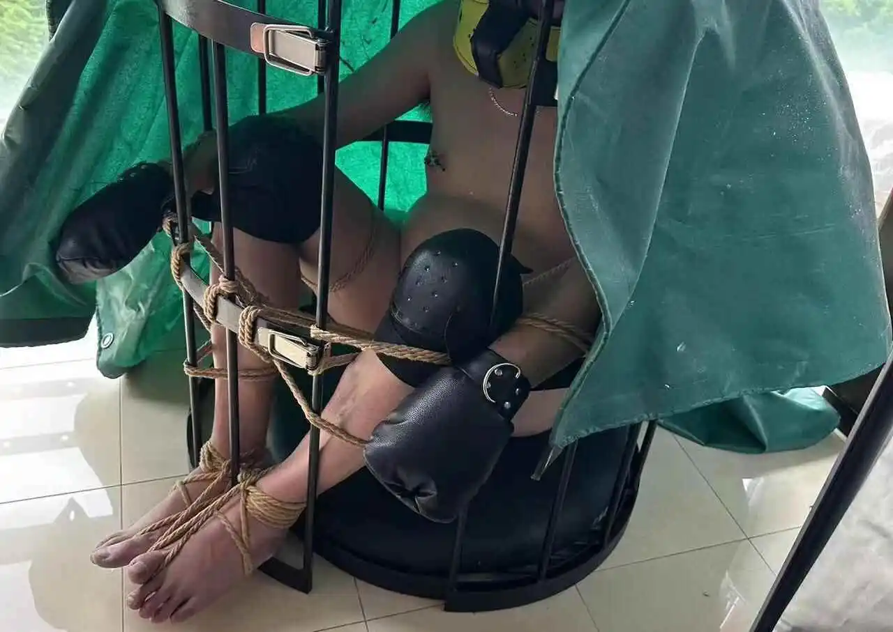 你也可能是隐藏的k8猫系？探索它的魅力与秘密 一