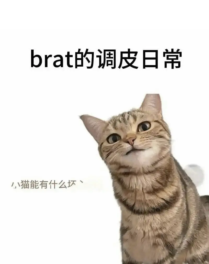 m倾向是什么？探寻你内心深处的性暗示和潜在欲望 一