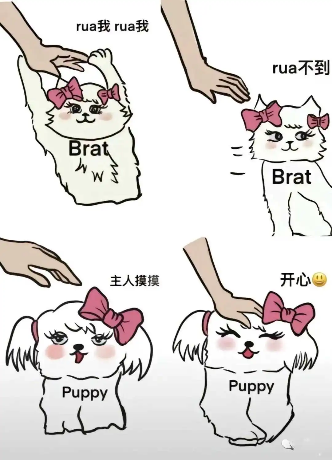 在sp小圈中发现自我：你的内心真实想法是什么？ 一