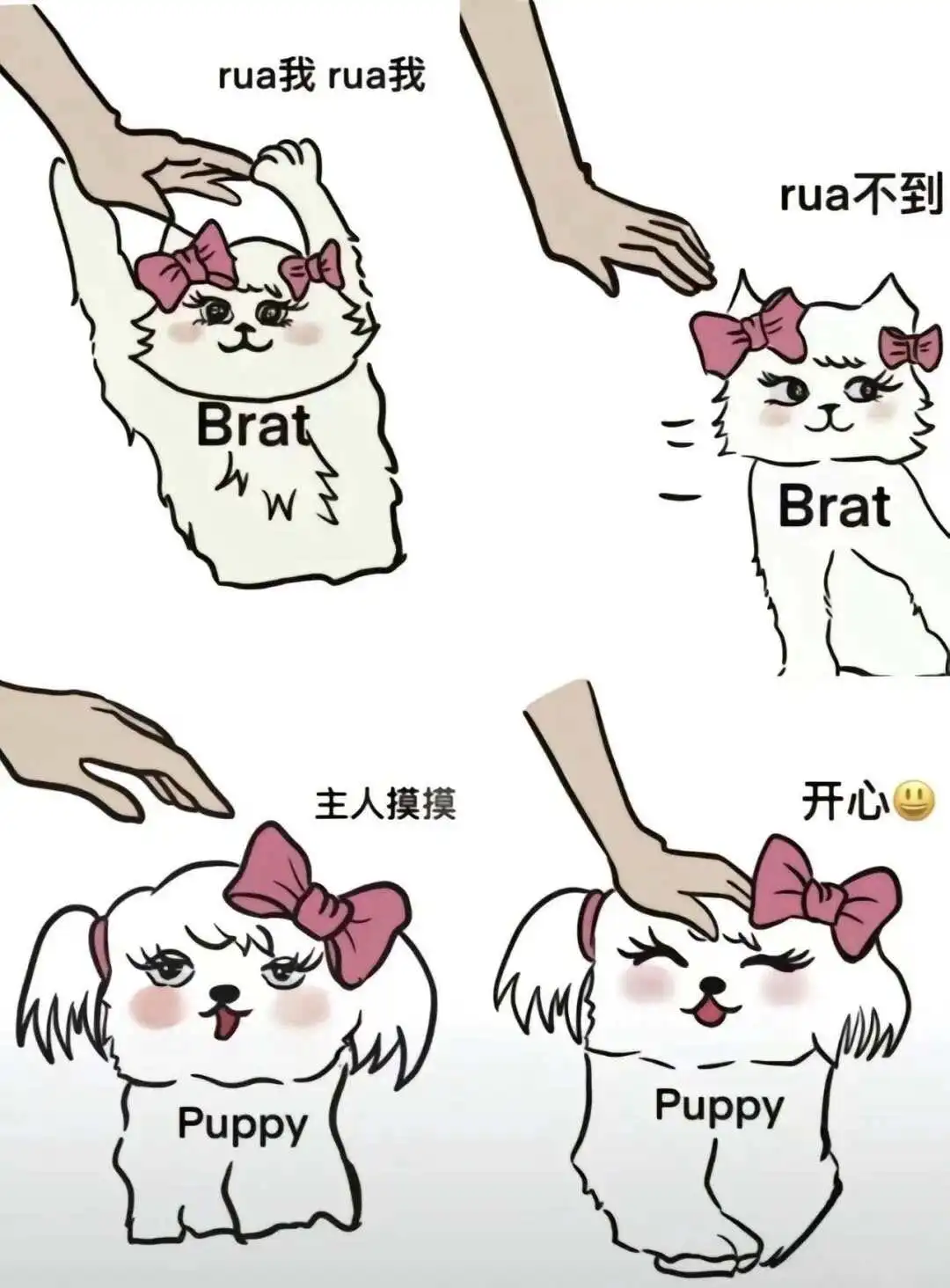 k8猫系：你了解它背后的秘密吗？ 一
